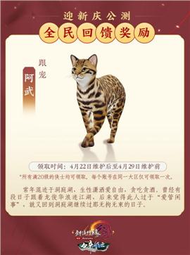 天龙八部私服 圣殿卫士